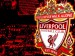Liverpoolský znak